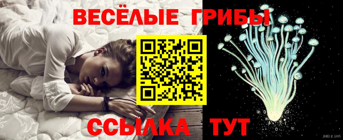 Псилоцибиновые грибы мухоморы Артёмовский