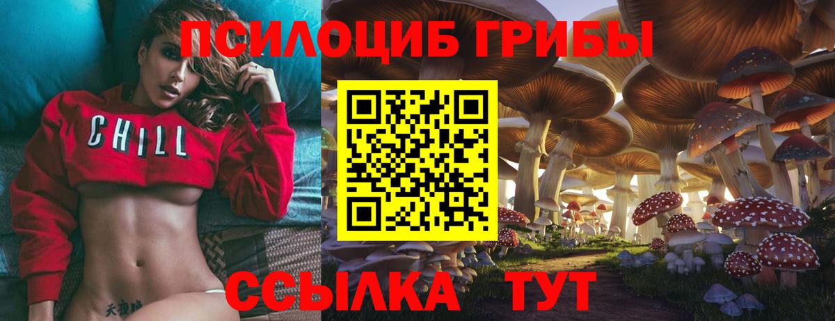купить наркоту  Галлюциногенные грибы Psilocybe  Вход с VPN  Артёмовский 